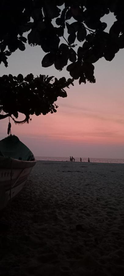 Beachcampers Only For Foreign Traveler'S Alappuzha Zewnętrze zdjęcie