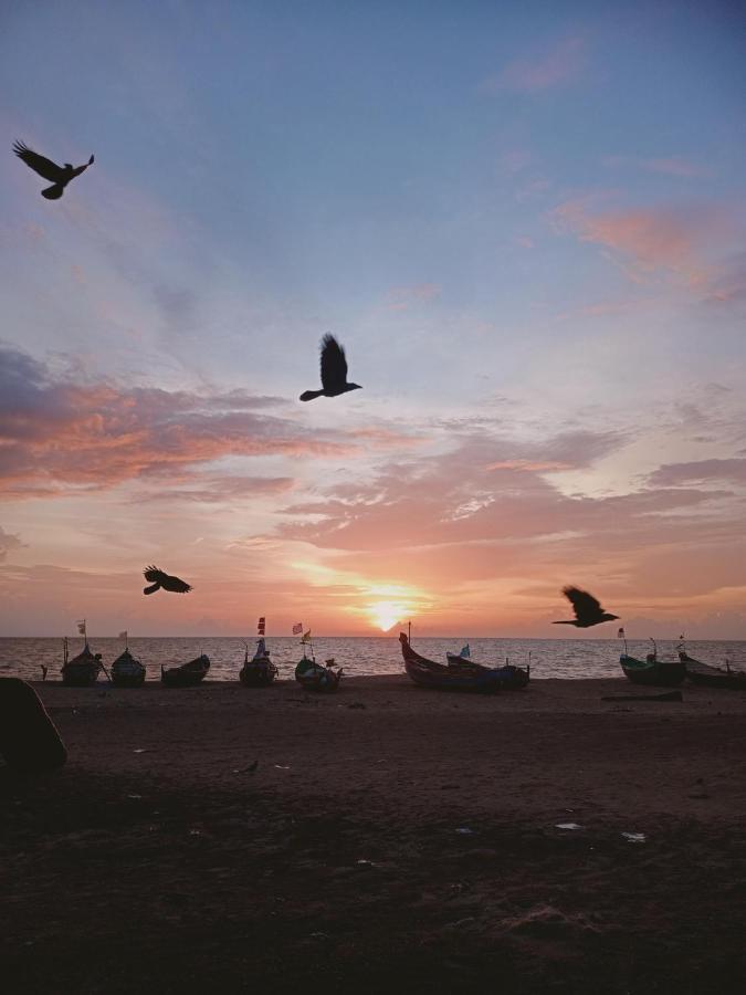 Beachcampers Only For Foreign Traveler'S Alappuzha Zewnętrze zdjęcie